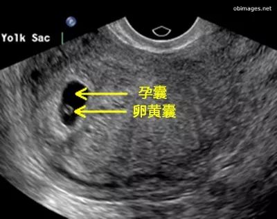 微信图片_20220418142748.jpg