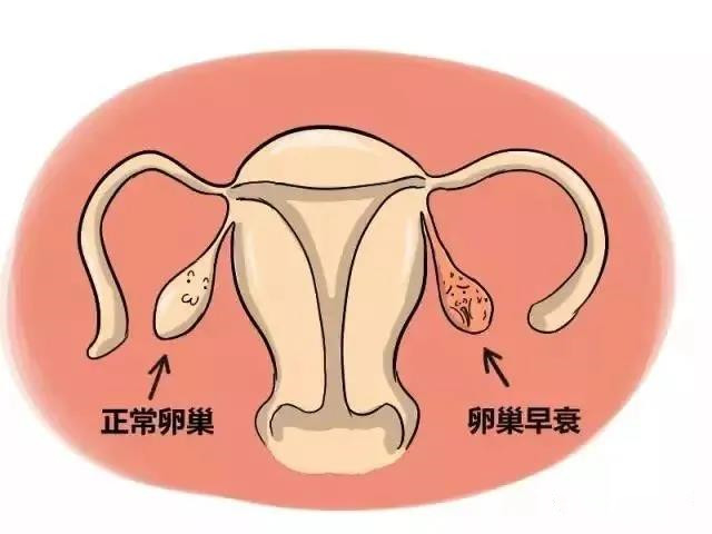 微信图片_20200810165821.jpg