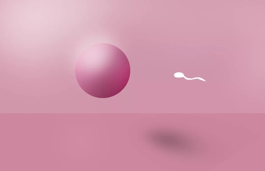 9.webp.jpg