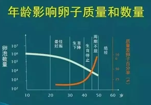 QQ图片20190416110338.png
