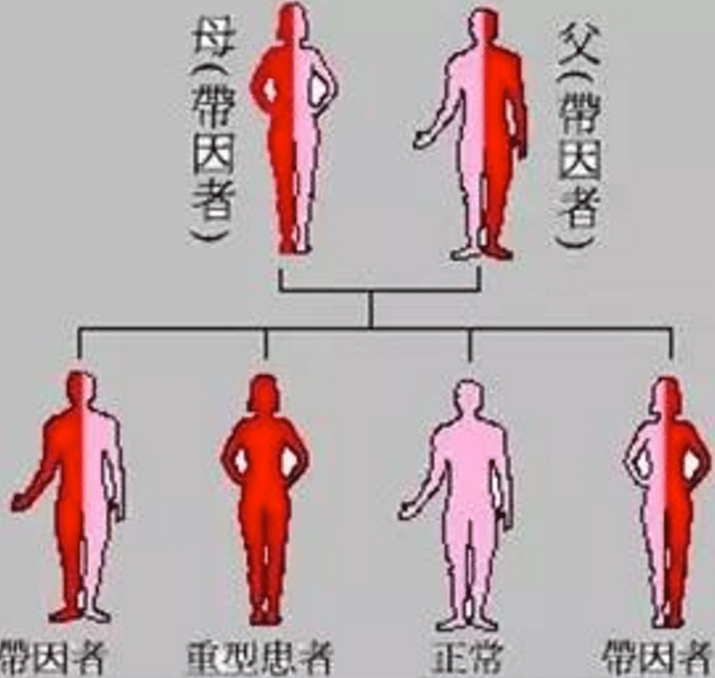不抱怨命运不公，地中海贫血夫妻实现生育梦！