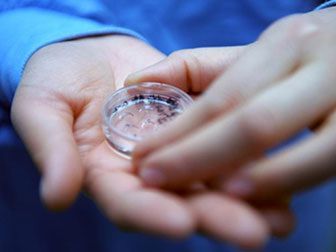 泰国的试管婴儿技术有哪些优势?以及什么样的患者适合IVF?.jpeg