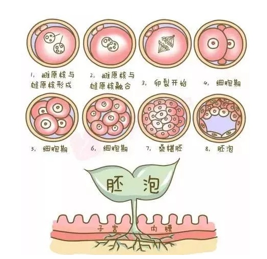 QQ图片20180329141907.png