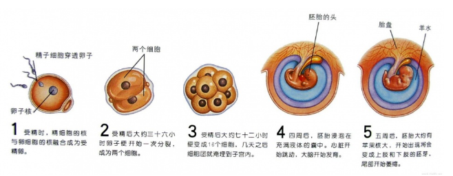 QQ图片20190321104949.png