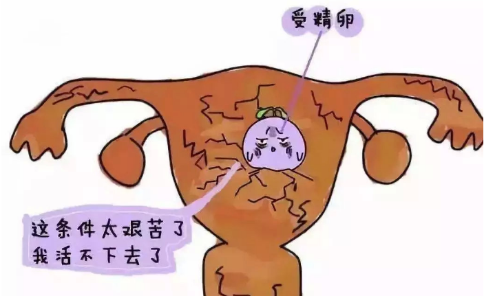 QQ图片20190401111537.png