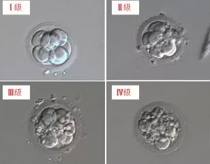 QQ图片20190401111635.png