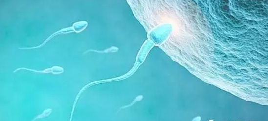 7.png