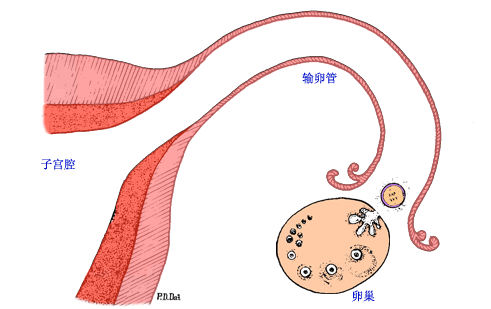 5.gif