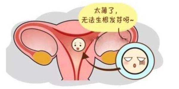 u=2122578116,48523810&fm=15&gp=0.jpg