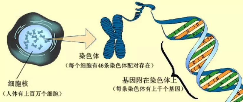 640.webp (1).jpg