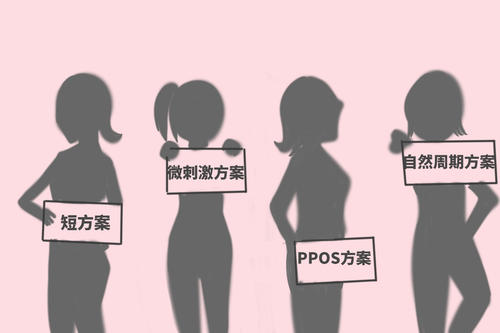 u=2895044561,3611150743&fm=26&gp=0.jpg