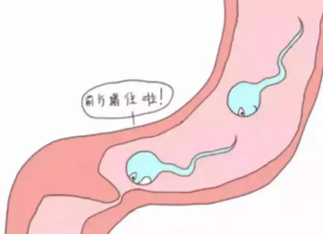 3.png