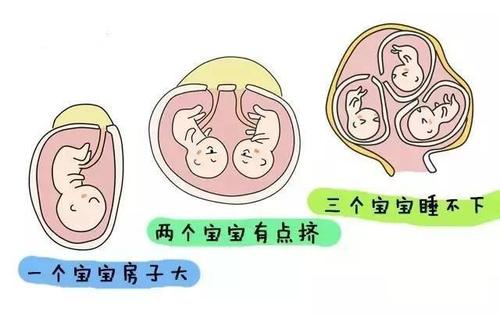 u=2240063263,3347096028&fm=26&gp=0.jpg