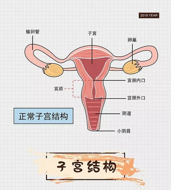 640.webp (2).jpg
