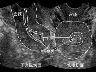 微信图片_20200810170736.jpg