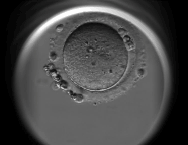 微信图片_20200811175441.gif