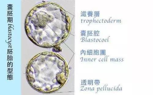 微信图片_20200814023438.jpg