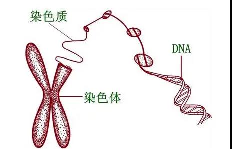 微信图片_20200814172734.jpg