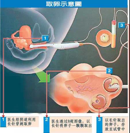 微信图片_20200815225231.jpg