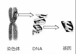 微信图片_20200815225251.jpg