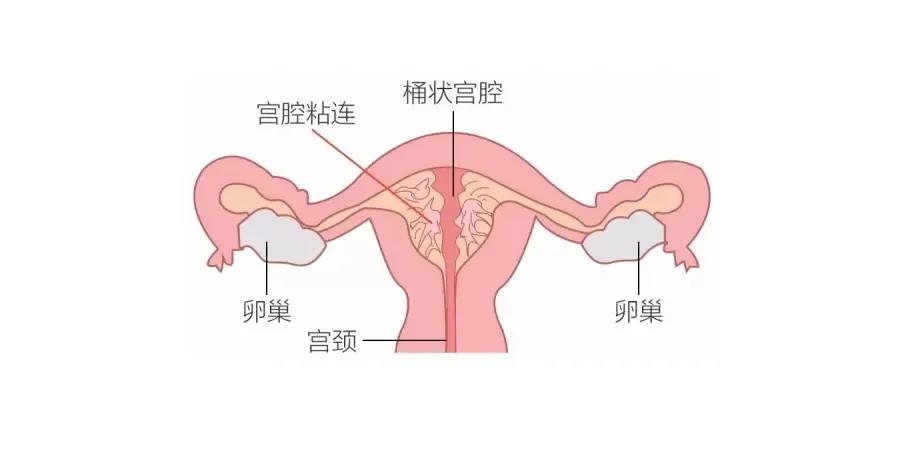 微信图片_20200925101411.jpg