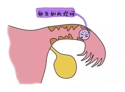 u=3532977381,2270658000&fm=26&gp=0.jpg