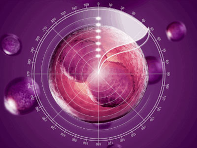 u=2766971314,2974954764&fm=26&gp=0.jpg