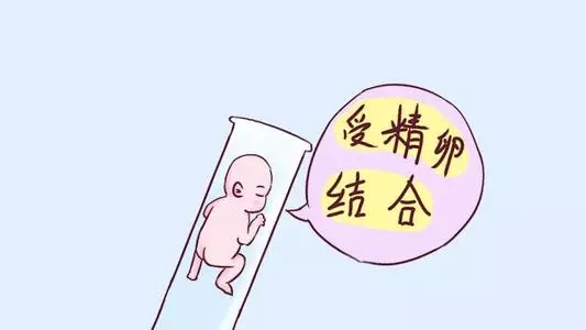 u=2180759800,716479596&fm=26&fmt=auto&gp=0.webp.jpg