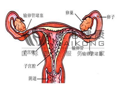 微信图片_20210428094446.jpg