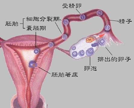 微信图片_20210521142226.jpg