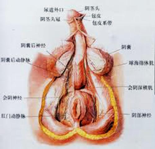 微信图片_20210521142226.jpg