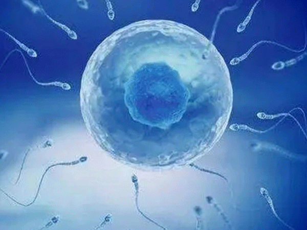 202108241028299206.gif