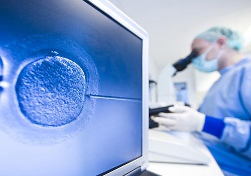 src=http___www.cnaivf.com_hotnews_images_5ivf775.jpg&refer=http___www.cnaivf.jpg