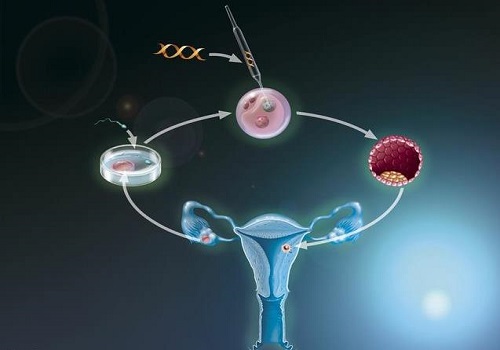 src=http___m.1ivf.com_uploa_allimg_171221_1-1G2211J034C9.jpg&refer=http___m.1ivf.jpg