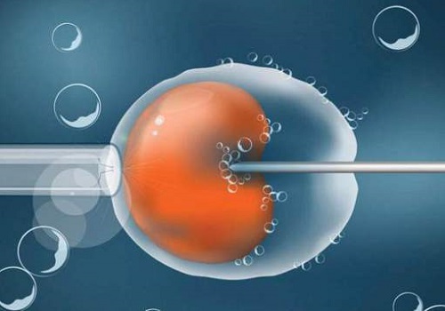 src=http___nimg.ws.126.net__url=http___dingyue.ws.126.net_2021_0401_57c7b5acj00qqv0zn000tc000qo00ezm.jpg&thumbnail=650x2147483647&quality=80&type=jpg&refer=http___nimg.ws.126.jpg