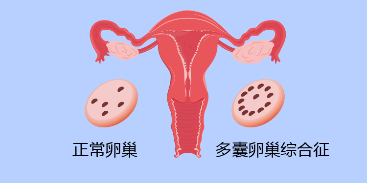 v2-85e9f6d85614bc79a0c394709f64aa0d_1440w.jpg