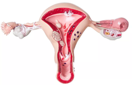 1648206345(1).png