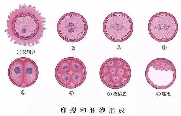 7c09cb917d36f59ab4b6005b7879f378.jpg