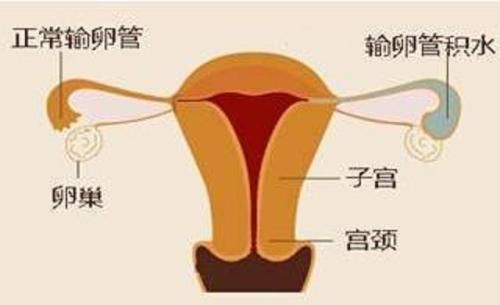 微信图片_20220413100735.jpg