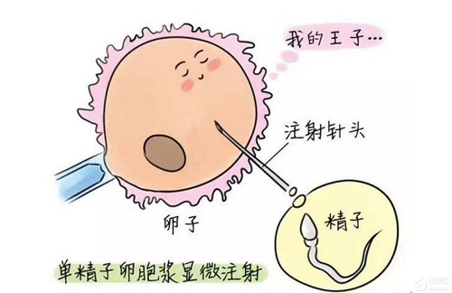 src=http___www.henghaohui.com_d_file_p_2020_08-04_0de3d05007277ec614d190bcf32f9dfd.png&refer=http___www.henghaohui.jpg