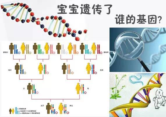微信图片_20220528163811.jpg