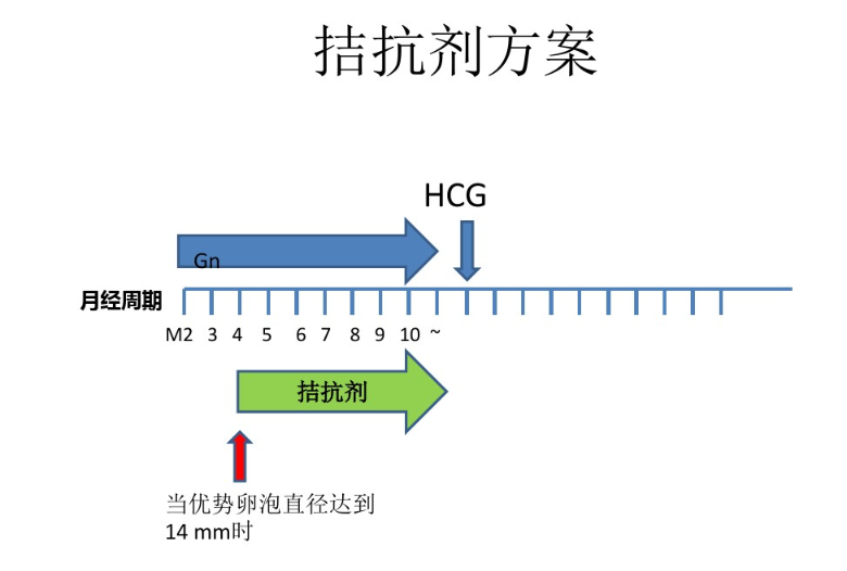 拮抗剂方案.png