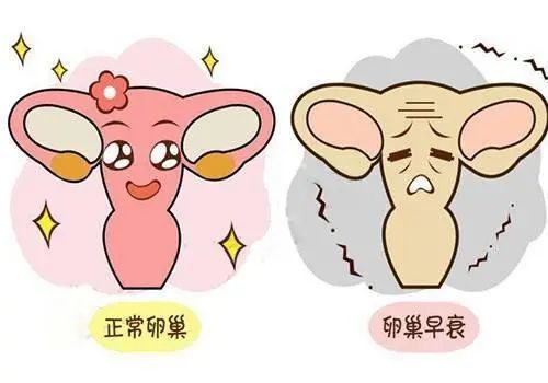 卵巢早衰.jpg