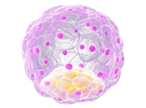 src=http___www.scdaiyun.cn_uploa_allimg_200518_100J92927-0.png&refer=http___www.scdaiyun.jpg