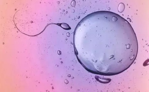 2021082610144210.jpg
