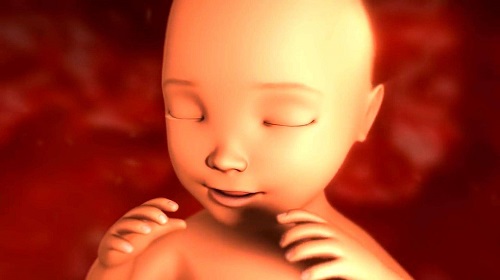 src=http___materials.cdn.bcebos.com_images_87243017_8e10cebfac165302be7a02a939478a89.jpeg&refer=http___materials.cdn.bcebos.jpg